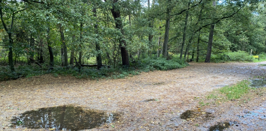 Petitie en demonstratie ‘Geen Stank en meer Natuur’