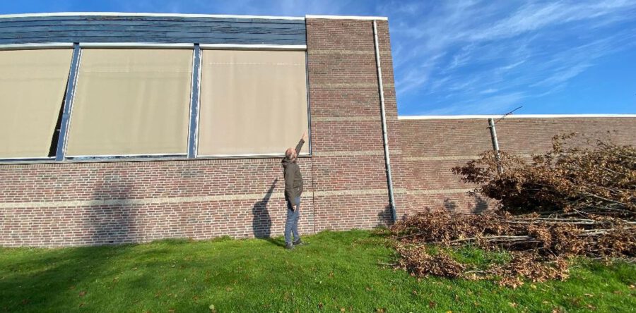 Vleermuizen hinderen nieuwe woningbouw in Kaatsheuvel (Video)
