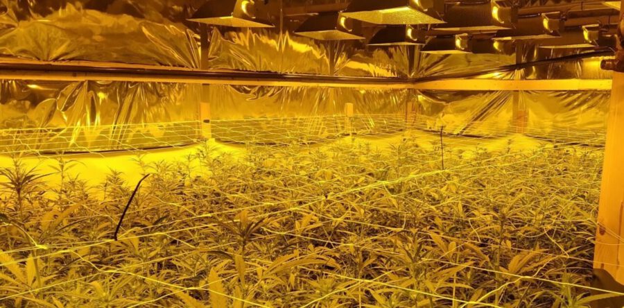 Hennepkwekerij en 56 kilo illegaal vuurwerk gevonden in Heusden