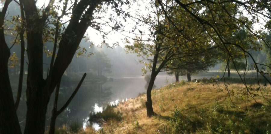Marion de Cocq (telefonisch) te gast in Vaktaal over ‘Het Bewaarde Land’