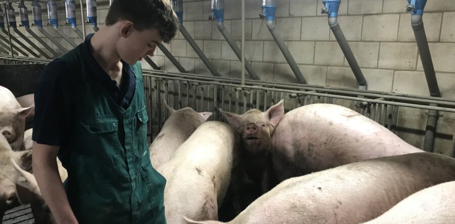 Laurens (16) heeft bijzondere bijbaan (Video)