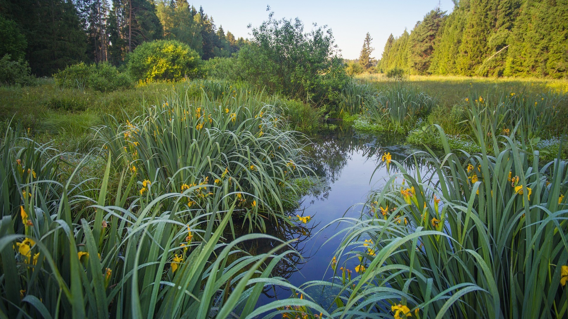 Natuurgebied Vlijmens Ven recent uitgebreid