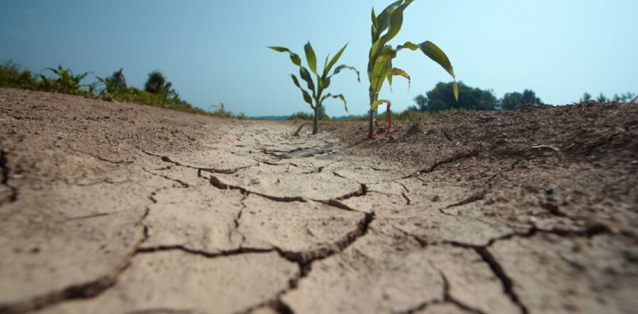 Droogte en dalende grondwaterstanden in Brabant