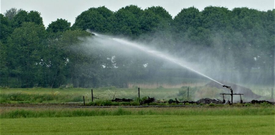 Beregeningsverbod raakt ook De Langstraat: ‘Duurt elke dag te lang’