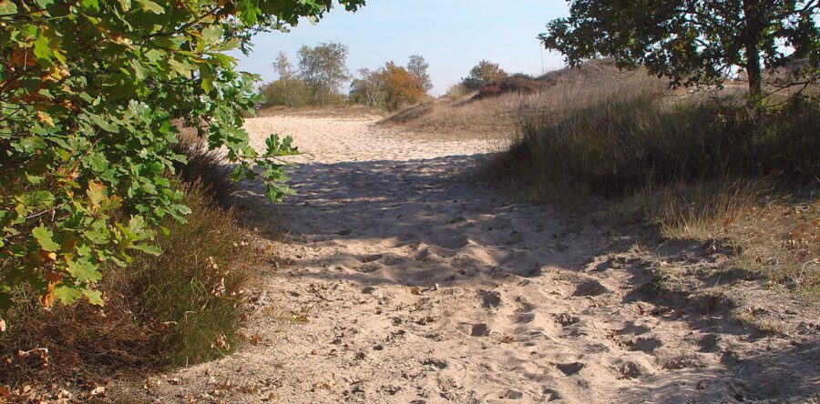 Wandeling door IVN De Waerdman-De Langstraat