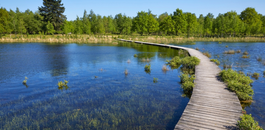 Langstraat gemeenten sluiten deal over ecologische verbindingszone