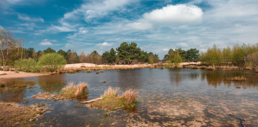 Provincie gaat over tot onteigening voor versnelling natuurprojecten