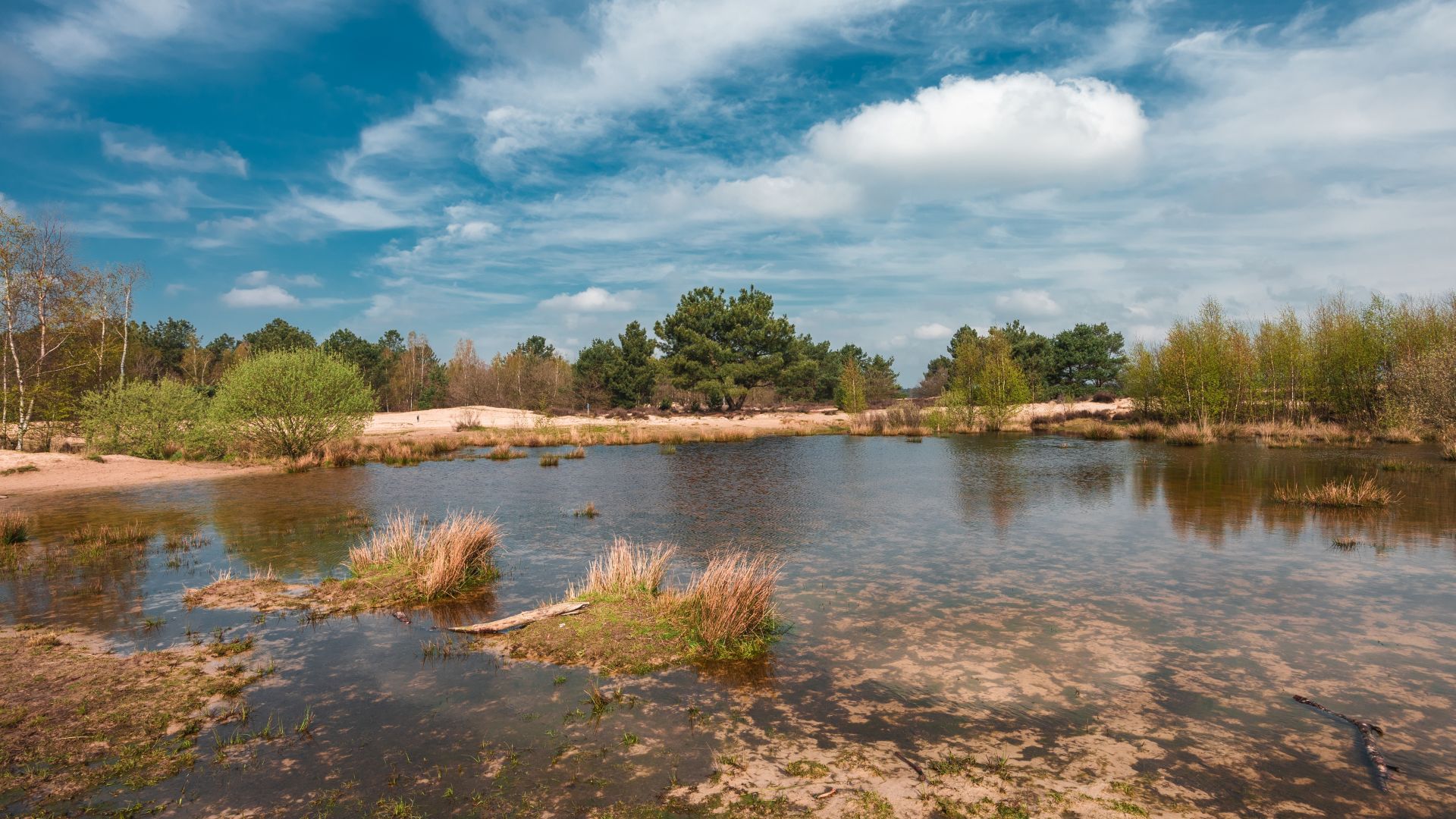 Provincie gaat over tot onteigening voor versnelling natuurprojecten