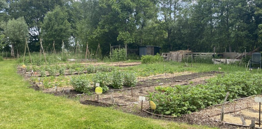 Jubileum volkstuindersvereniging na twee jaar toch gevierd