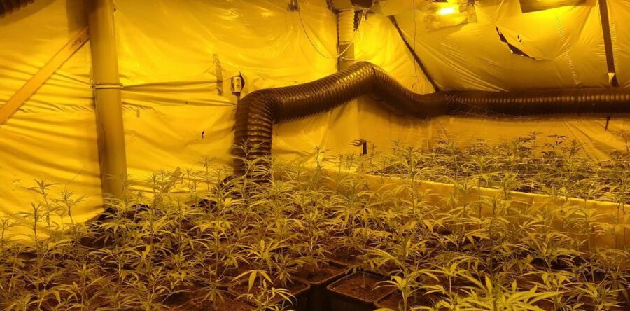 Hennepkwekerij aan De Ganges in Drunen aangetroffen