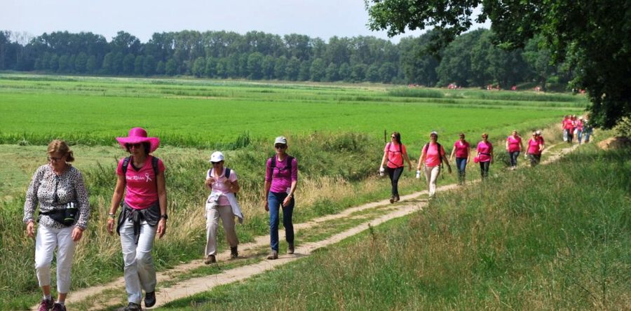 Drunens Wandelfestival in juni van start: opbrengst voor Pink Ribbon