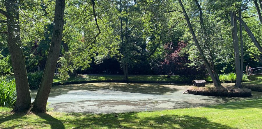 Fontein Wandelpark blijft nog uit (Video)