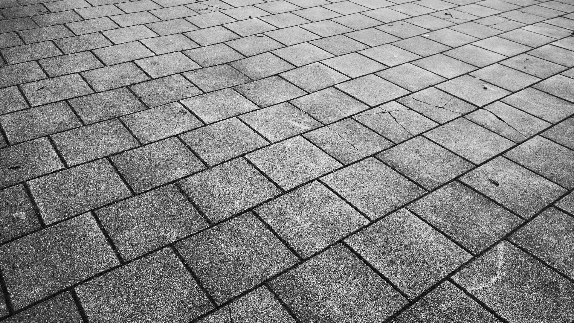 NK tegelwippen van start: Een strijd voor honderd gemeentes