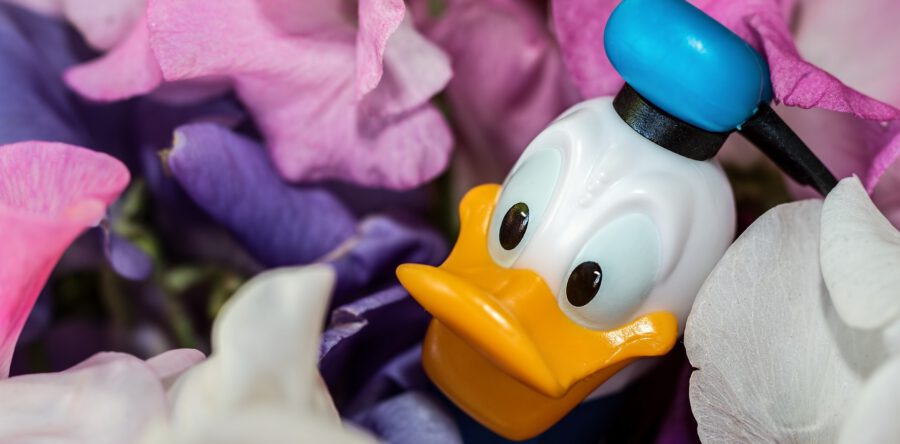 Thema van de kinderpostzegelactie is dit jaar Donald Duck