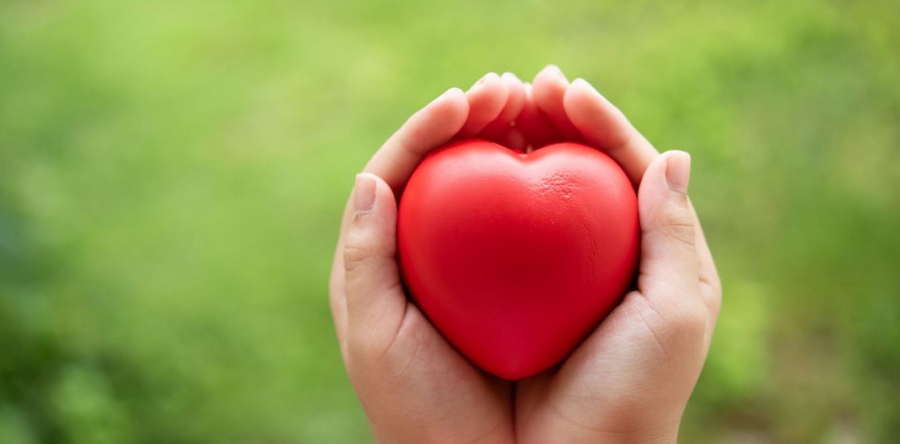 Lotgenotenbijeenkomst voor nabestaanden bij TOON