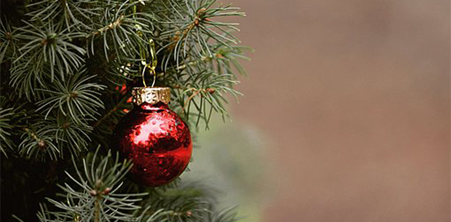 Doe mee aan de kerstboomstrijd: 0,50 cent per verzamelde boom