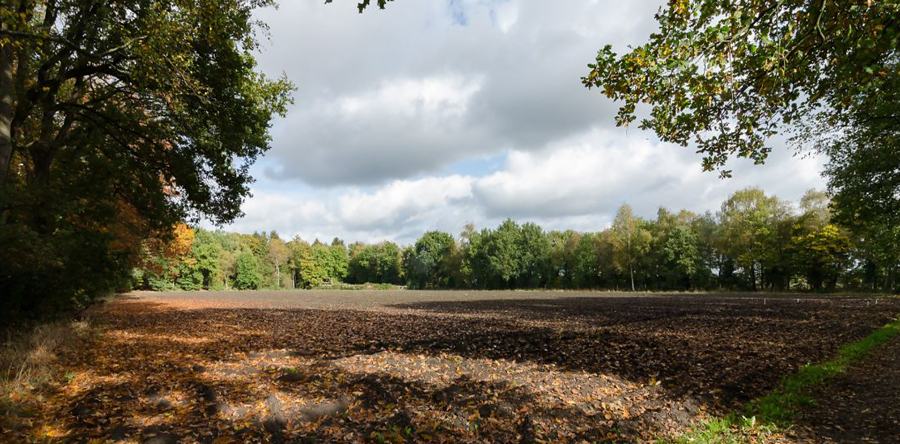 Heusden wil jongeren meer betrekken bij de natuur
