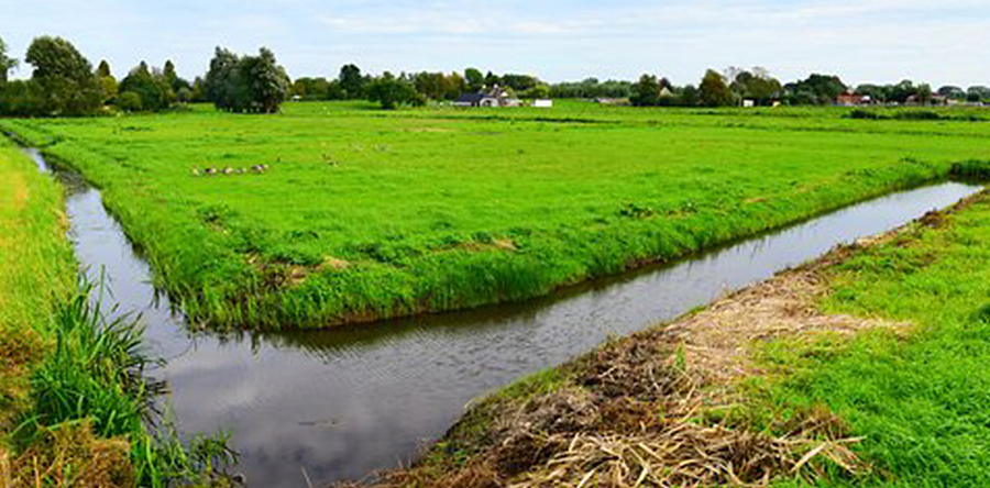 Inmiddels 80 tegels gelegd in strijd tegen zwerfafval