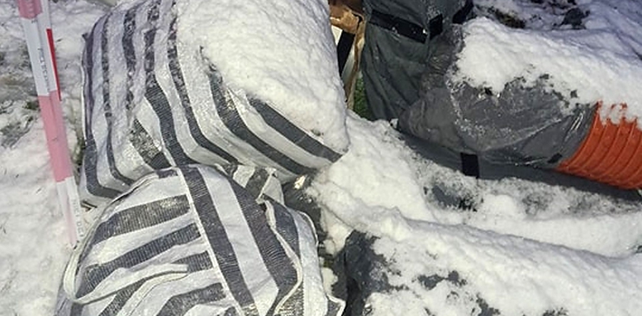 Hennepkwekerij gevonden tussen Waalwijk en Sprang-Capelle