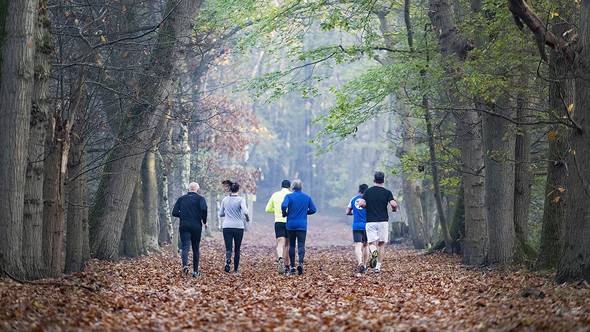 Zoveel inwoners van De Langstraat liepen de Marathon van Rotterdam