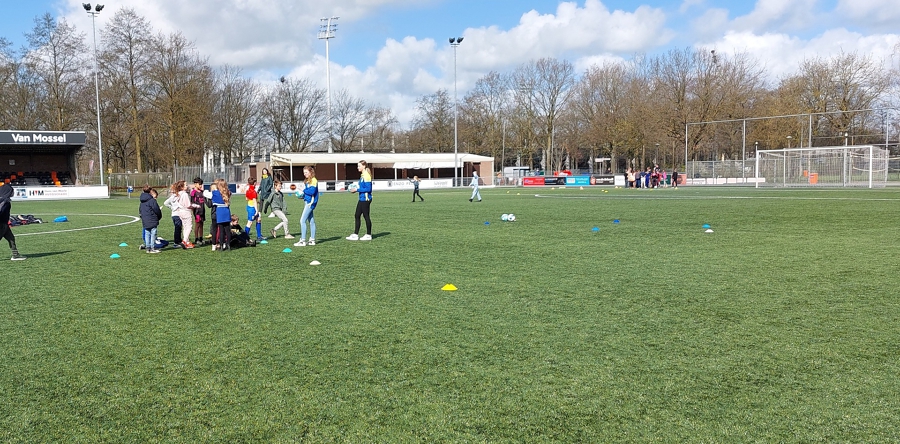 Scoor een boek groot succes (Video)
