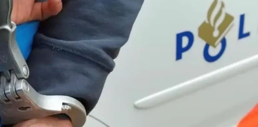 Politie plukt Waalwijker van de weg en die maakt het daarna heel bont