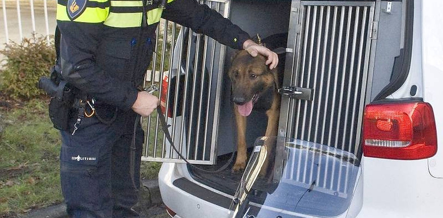 Politiehond vindt verdachte bedrijfsinbraak