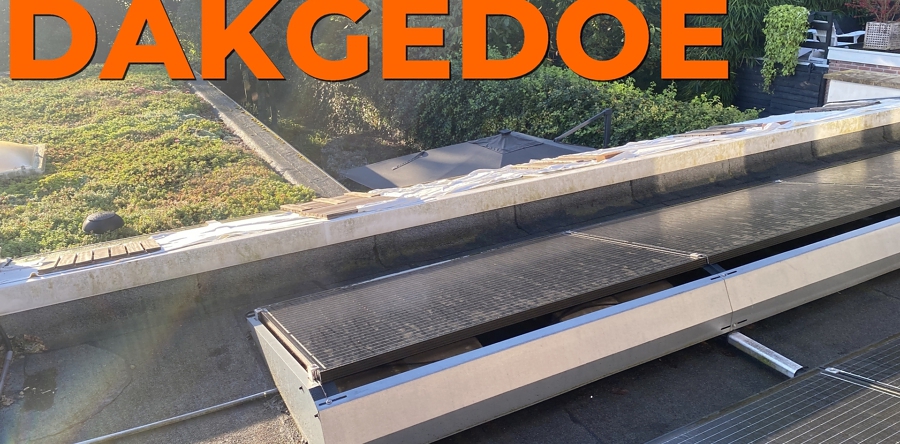 Column: Dakgedoe door Rinus Krijnen