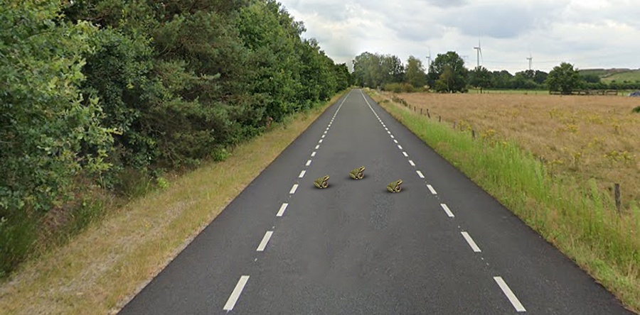 Spinderspad in Loon op Zand weken niet bereikbaar voor verkeer