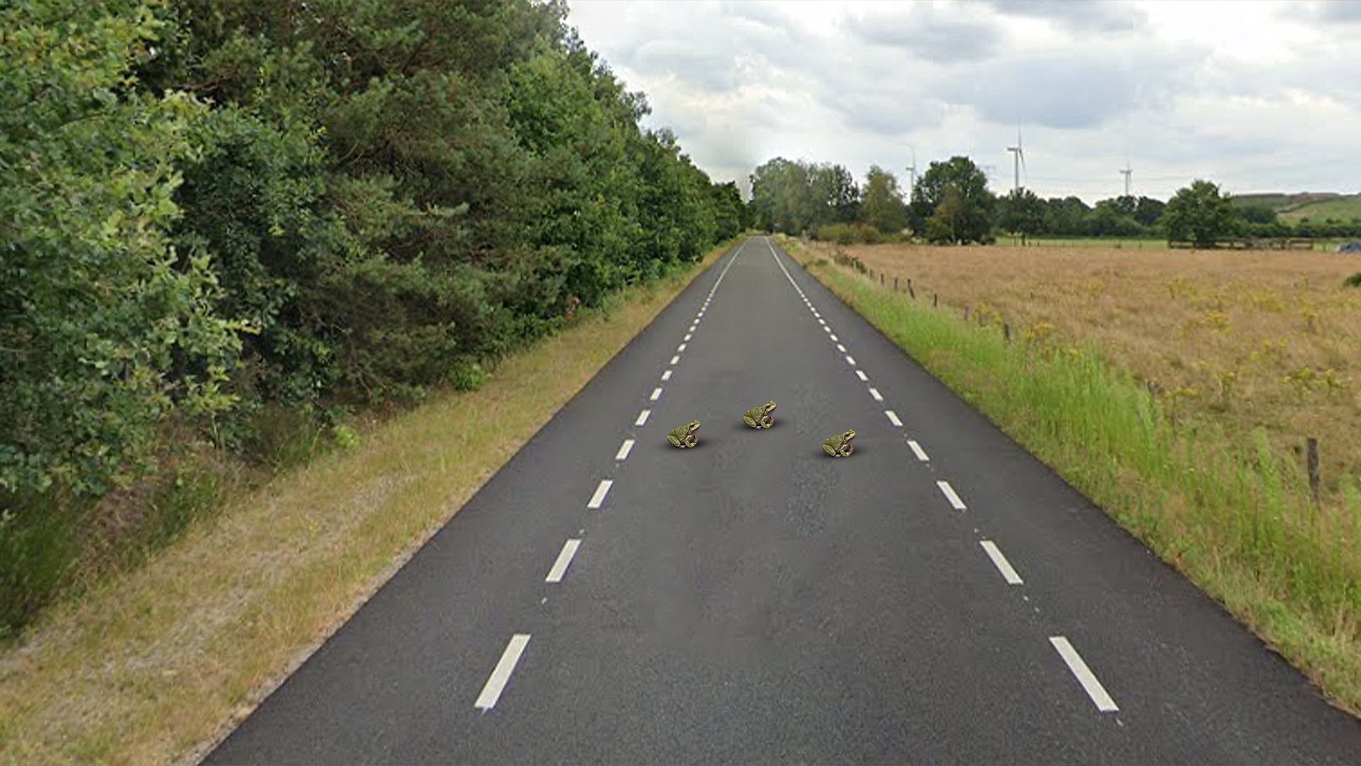Spinderspad in Loon op Zand weken niet bereikbaar voor verkeer