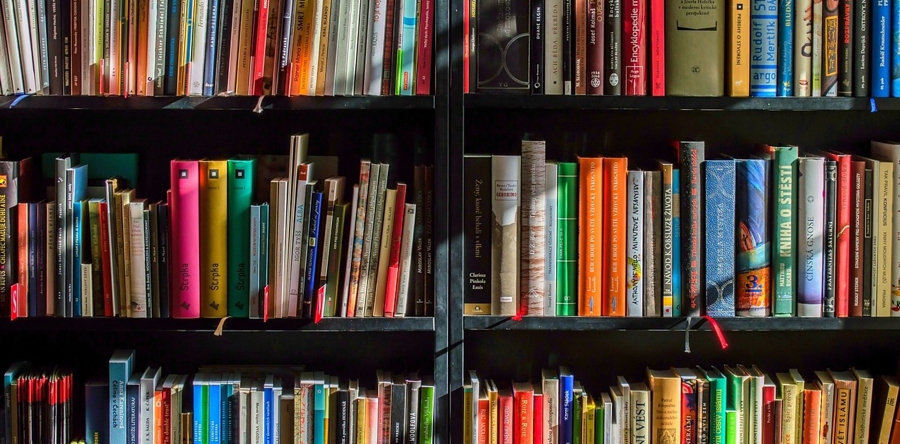 Boek over Langstraatse fotograaf Leo Sikkers