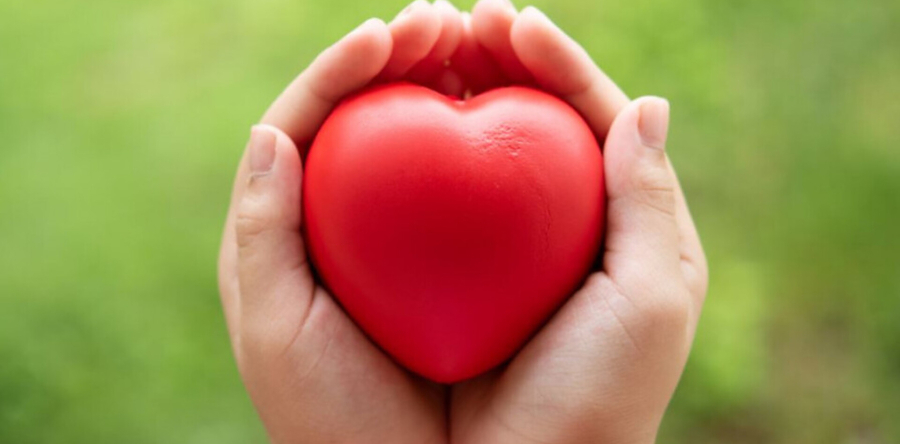 Lotgenotengroep voor nabestaanden bij TOON