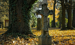 Dongen sluit begraafplaatsen tijdens verwijderen van graven