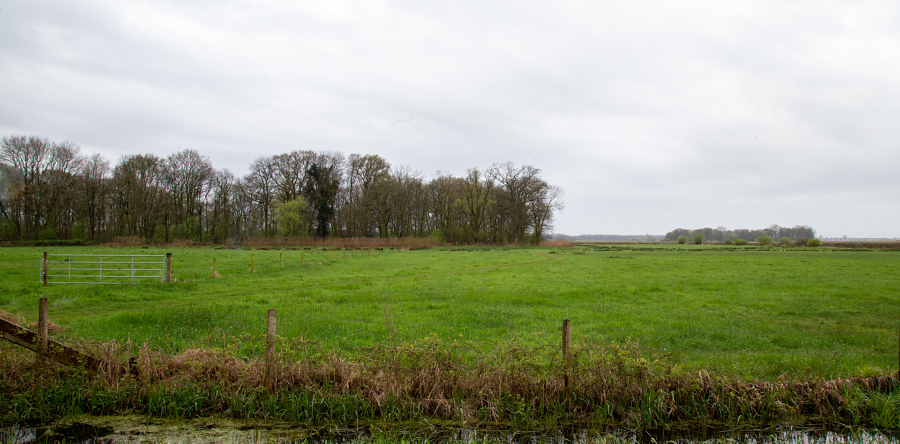 Educatieve fietstocht langs de eendenkooien in Heusden