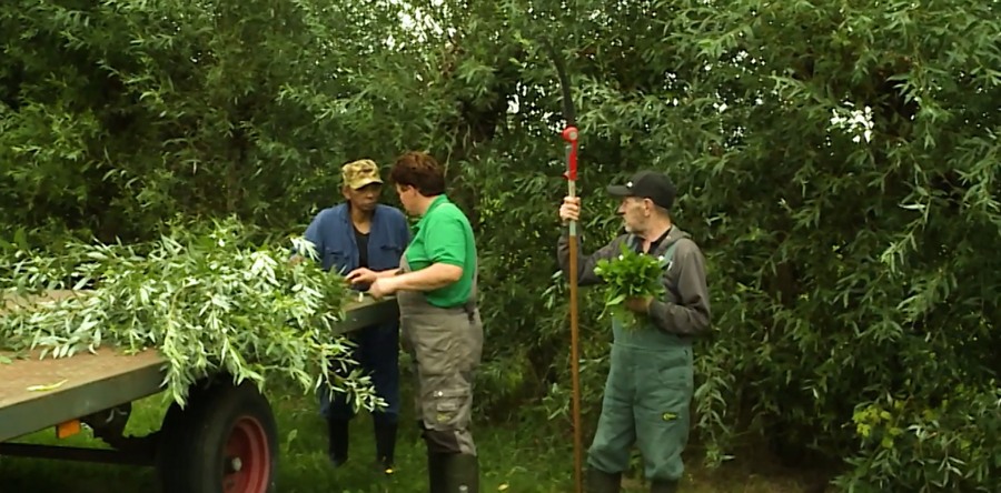 Van Loon’s Hoekske uit Kaatsheuvel centraal in aflevering Groene Zorg
