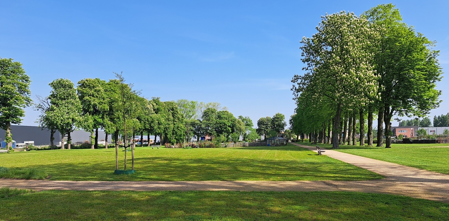 Park Vossenberg opzoek naar oplossingen tegen overlast (Video)