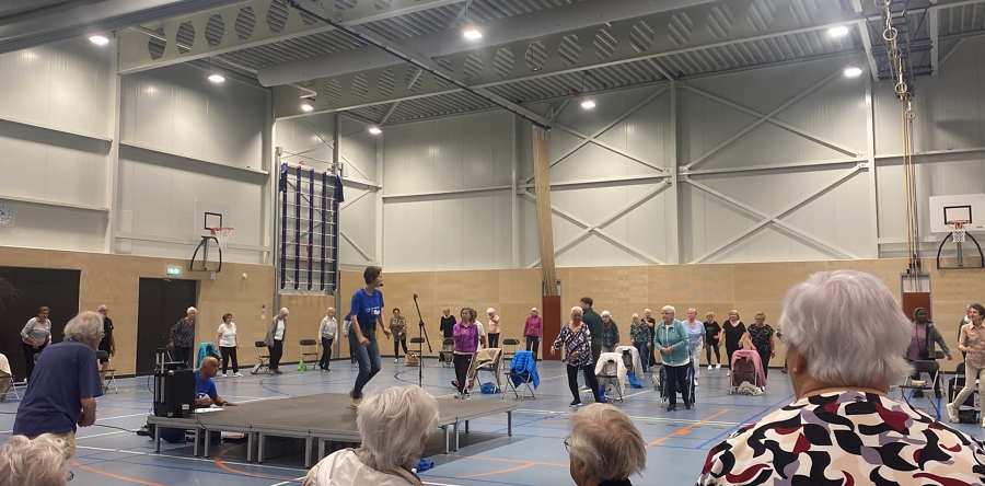 Finale van het Beweegfestijn in De Werft (Video)