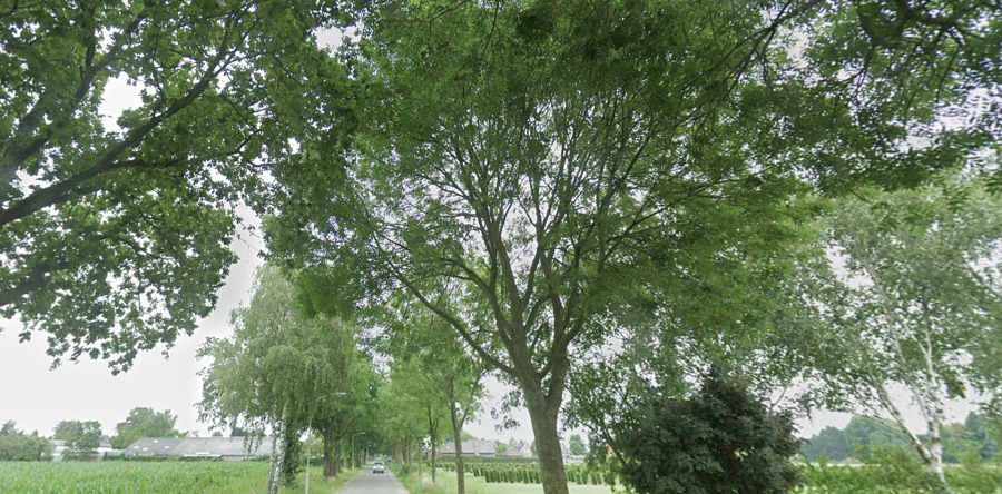 Oostelijk deel van Tuinbouwweg wordt verkeersveiliger