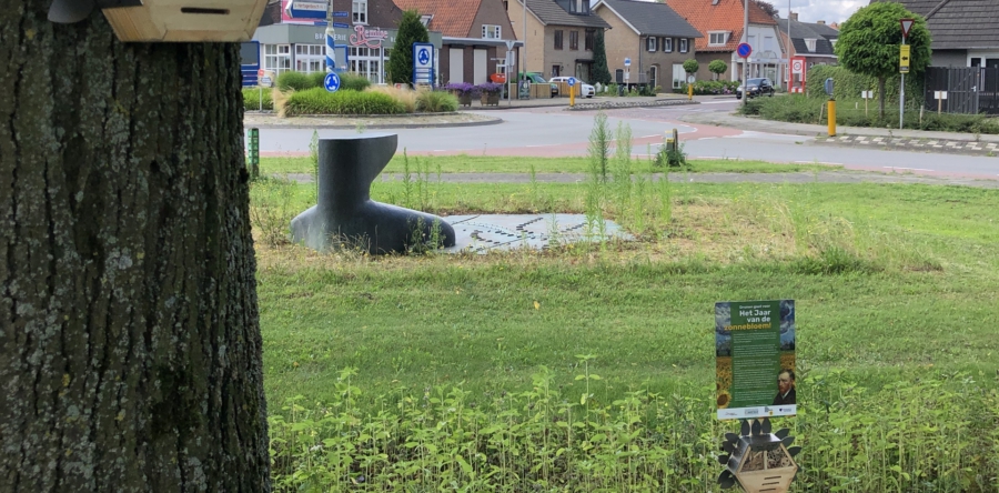 Drunen viert het Jaar van de Zonnebloem