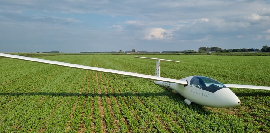 Veel bekijks voor vreemde vogel in weiland Waspik