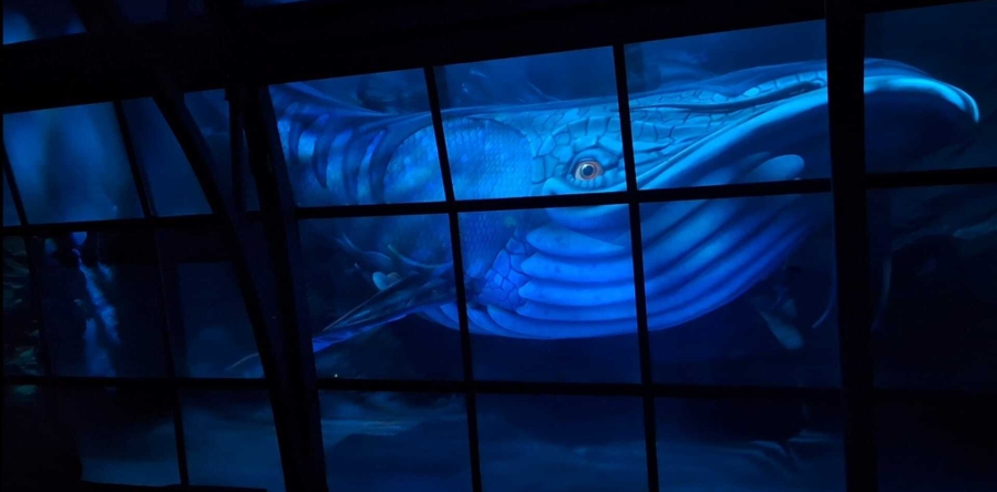 De Fabelvis in het ‘Paleis der Fantasie’ tijdelijk niet te bewonderen