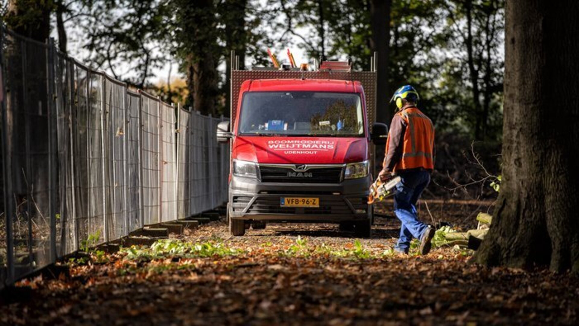 Gemeente Loon op Zand start met het snoeien van bomen