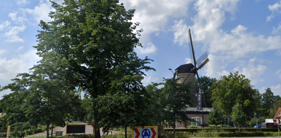 Gemeente Loon op Zand verwijdert hoornaarsnesten in Kaatsheuvel