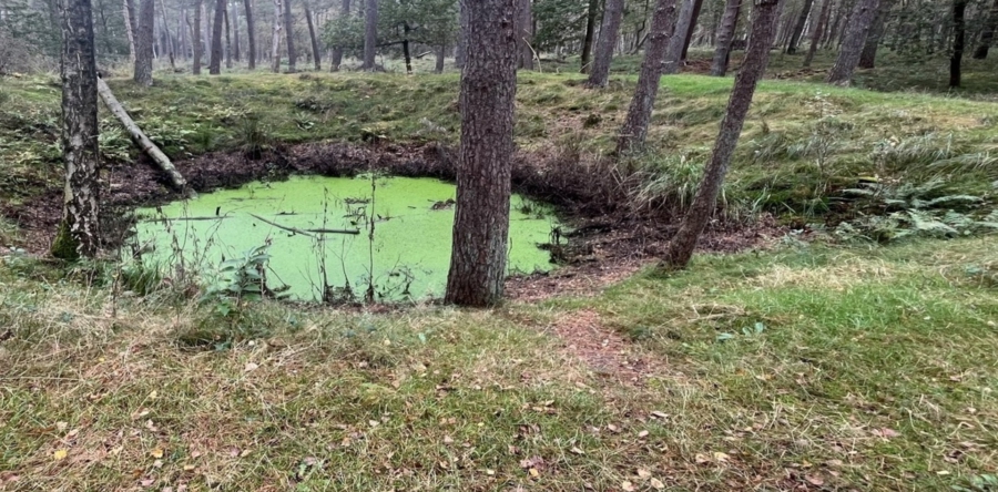 Munitiedepot de MASt: bomkraters, loopgraven en oude verzetsfoto’s