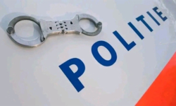 Afvaldumpers lopen tegen de lamp in Waalwijk