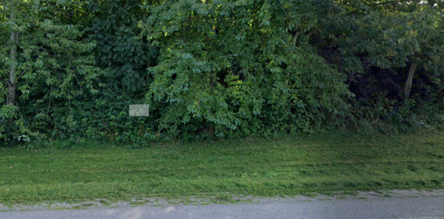 Auto belandt langs de weg in Waspik