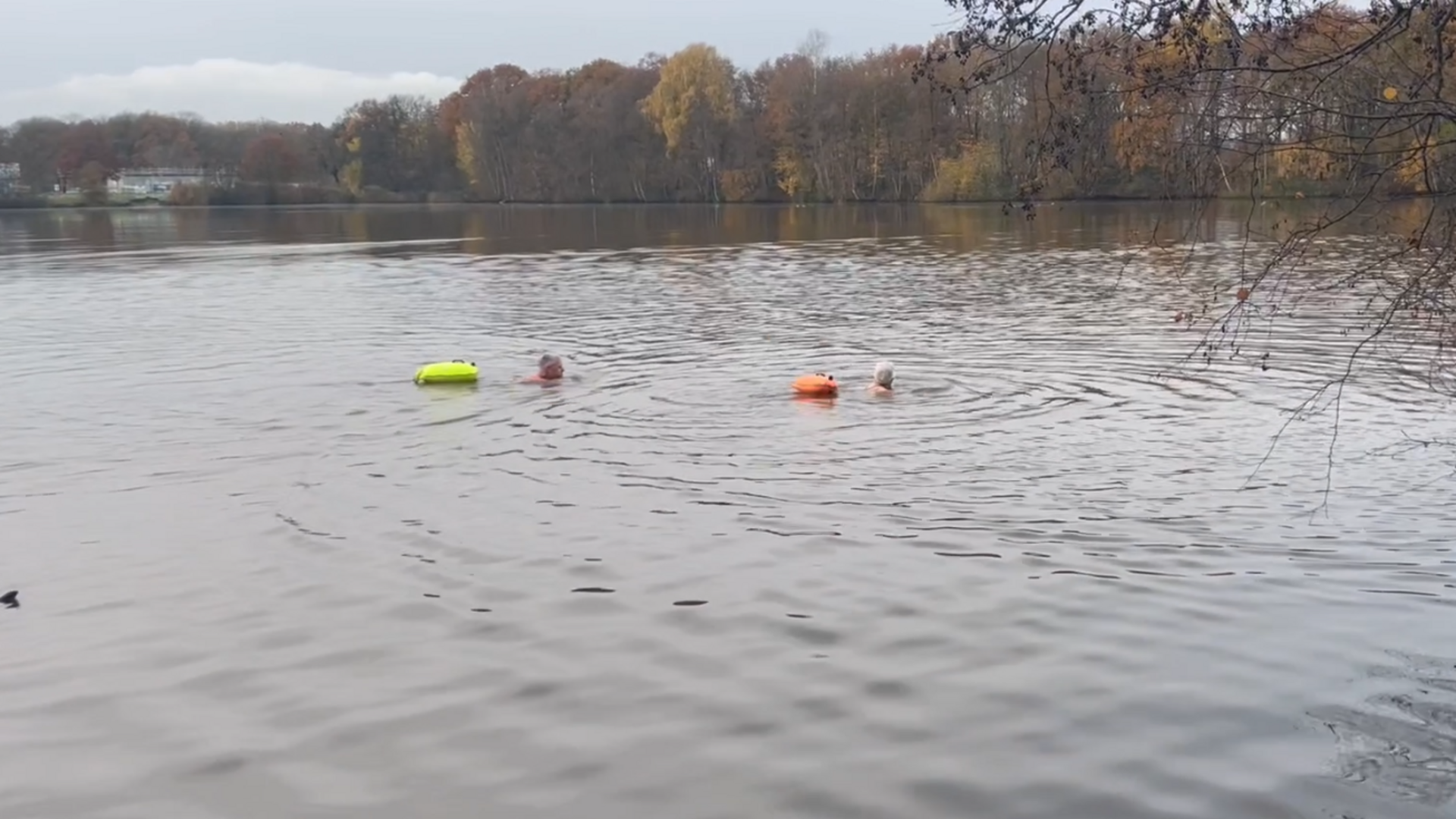 Fanatieke zwemmers ondanks de kou het Lido in (Video)
