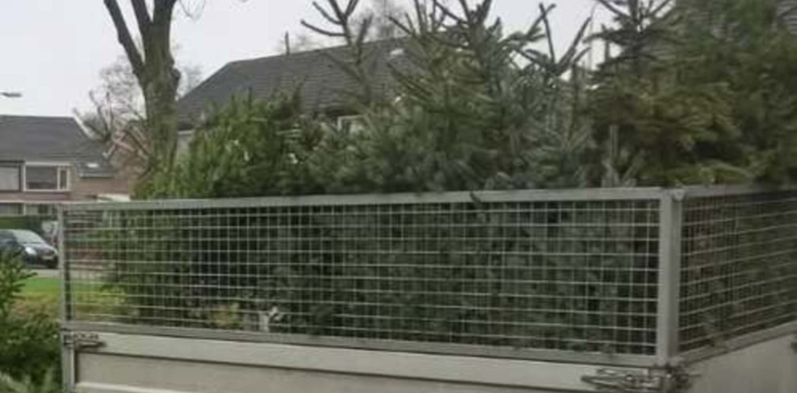 Kerstbomeninzameling in de gemeente Heusden levert veel kerstbomen op