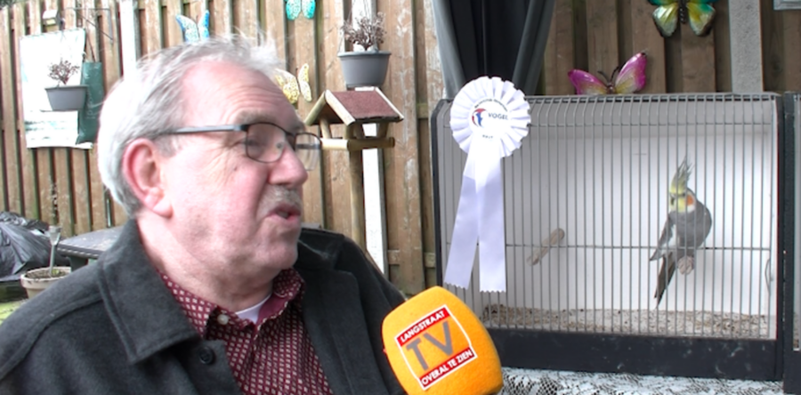 Waalwijkse Eddy opnieuw Nederlands kampioen parkietenkweken (video)
