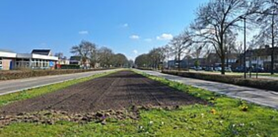 Gemeente Dongen dit voorjaar groener en duurzamer